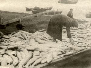 В годы войны в Якутии велась колоссальная работа по восстановлению всех показателей экономики