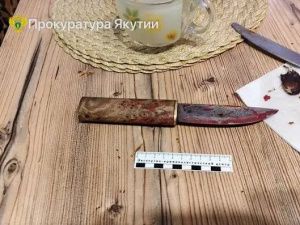 68-летний житель Якутии убил пасынка ударом ножа в шею: Вынесен приговор