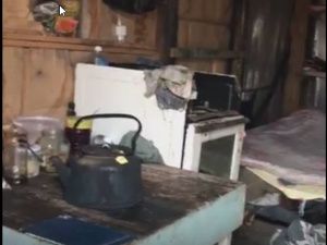 «Голов нет, но есть куча костей и перьев», — зоозащитница съездила в заброшенный гараж, где обнаружили останки собак