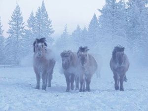 Самый холодный населённый пункт России