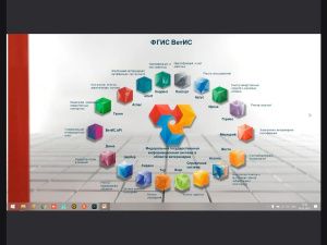 Экспорт мёда и дикоросов – перспективный бизнес