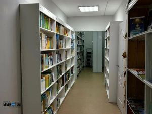 Сегодня отмечает 140-летний юбилей Краеведческая библиотека имени В.Г. Белинского