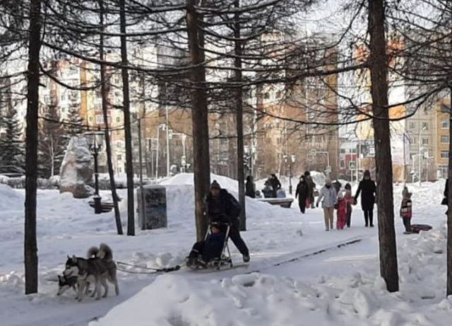 В воскресенье нерюнгринцы дружно катались на собаках
