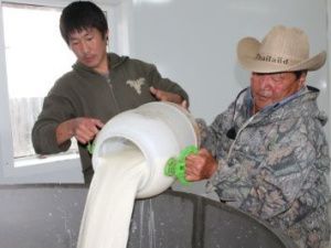 В Якутии выделено 3,1 млрд рублей на производство и переработку молока