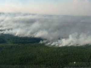 Хабаровский край затянуло дымом из-за пожаров в Якутии