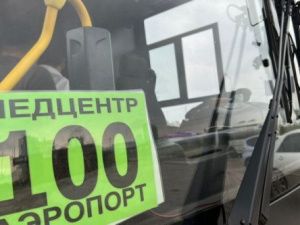 В новогоднюю ночь маршрут №100 бесплатно перевезет пассажиров