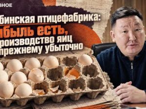 Нюрбинская птицефабрика: прибыль есть, но производство яиц по-прежнему убыточно