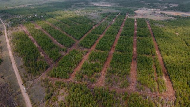 Евгений Григорьев проконтролировал ход подготовки земельных участков для многодетных семей по Намцырскому тракту