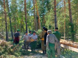 В зоопарке «Орто Дойду» в Якутии ведутся восстановительные работы после разбушевавшейся стихии