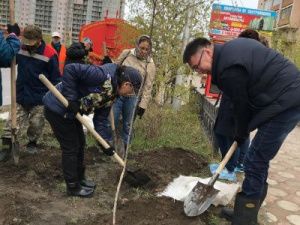 В Губинском округе провели акцию по посадке леса