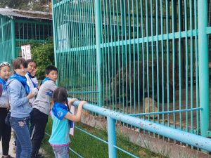 Дети многодетных и малоимущих семей города Якутска посетили зоопарк «Орто Дойду»
