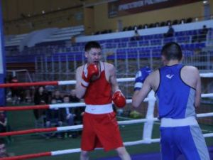 В Якутске в спорткомплексе «Дохсун» завершился чемпионат республики по боксу