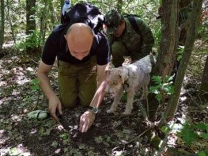 В Якутии глава района обязал собирать дикоросы даже полицейских