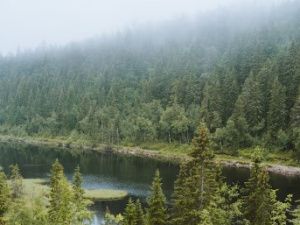 Важно: На территории Якутии действующих природных пожаров нет