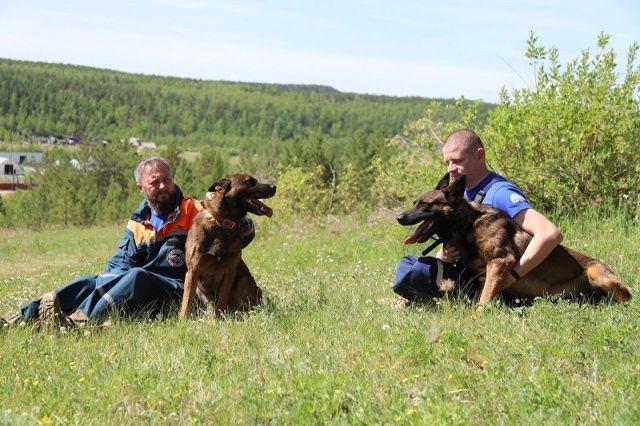 Если одного направляют на поиски, то второй очень переживает