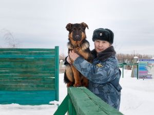 Восемь щенков служебных собак пополнили ряды кинологической службы республиканского управления ФСИН