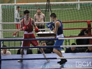Чемпионат Якутии по боксу в этом году проведут в Мирном
