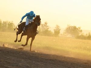 В Нюрбе состоялись конные скачки «Кубок Вилюя»
