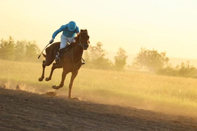 В Нюрбе состоялись конные скачки «Кубок Вилюя»