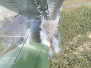 6 лесных пожаров площадью более 18 тысяч гектаров ликвидировали в Якутии за сутки