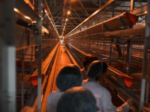 Сардана Авксентьева посетила предприятия пищевой промышленности Якутска