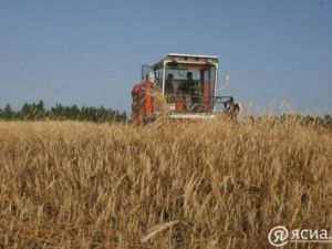 В Якутии состоится круглый стол по вопросу увеличения производства местной сельхозпродукции