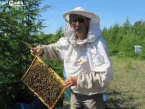 Режиссер Эллэй Иванов разводит пчёл в Арангасском наслеге