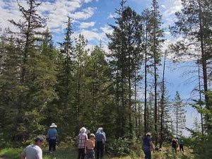 Жители деревни в Якутии протестуют против вырубки леса