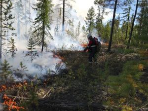 В Якутии действует 21 лесной пожар