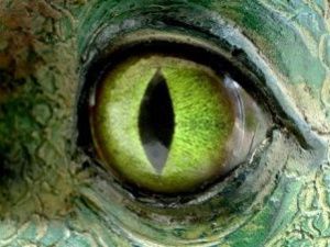 Журналисты готовят к выпуску документальный фильм «Динозавры в Якутии есть!»