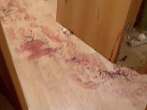 Шуметь нельзя!