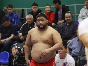 Борцы Тимур Николаев и Никита Софронов завоевали титулы абсолютных чемпионов турнира Ноговицыных