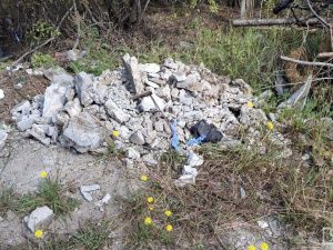 Контроль за работами, ровные ряды и благоустройство территории: что изменится на кладбищах Якутска