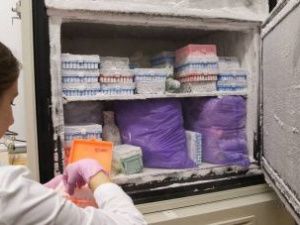 В России началось производство вакцины от коронавируса