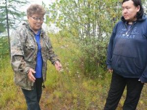 Профессор-исследователь СВФУ изучает редкие растения Оймяконья