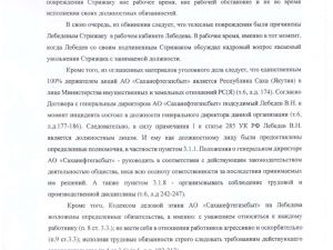 Адвокат Стрижака попросил переквалифицировать дело Виктора Лебедева на более строгую статью