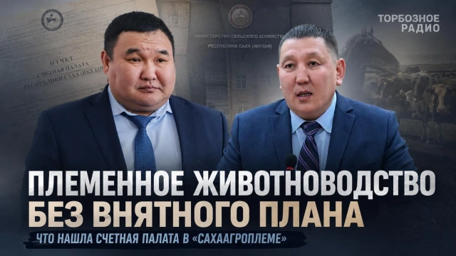Племенное животноводство без внятного плана: что нашла Счетная палата в «Сахаагроплеме»
