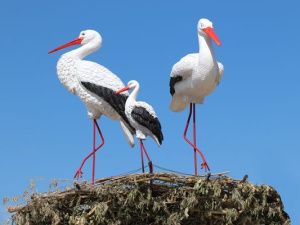 Территорию, прилегающую к учреждениям, украсили фигуры птиц