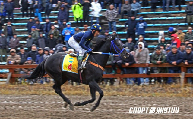 Трагически погиб легендарный жеребец
