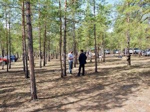 Владимир Федоров поручил усилить системную работу по санитарной очистке территорий