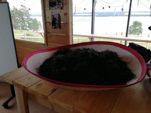 Компания «СахаЧай» открыла новый цех по производству чая