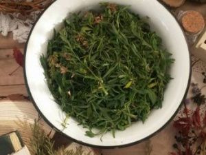 Якутия отказалась от экспорта настоек в Китай