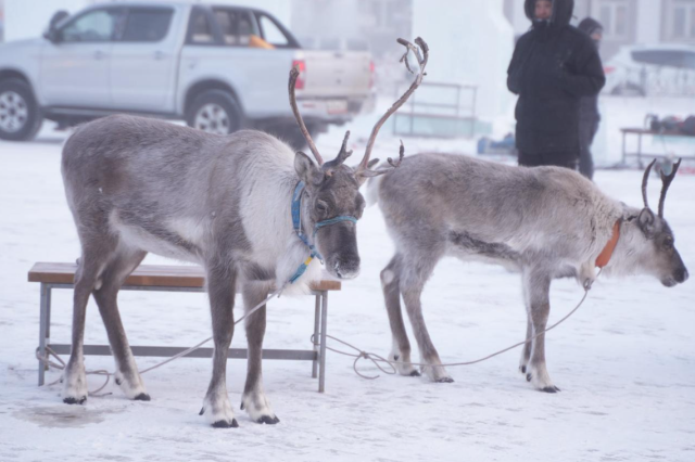 Во вторник в Якутске ожидается до -29 градусов