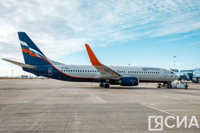 Аэрофлот ввёл новую услугу перевозки животных на соседнем пассажирском кресле