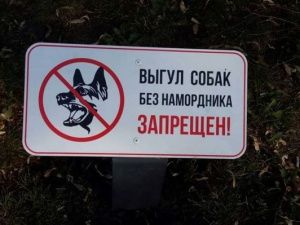 Владельцам домашних животных напоминают об ответственности