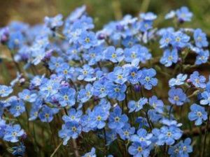 Прогноз погоды в Якутске на понедельник, 2 августа