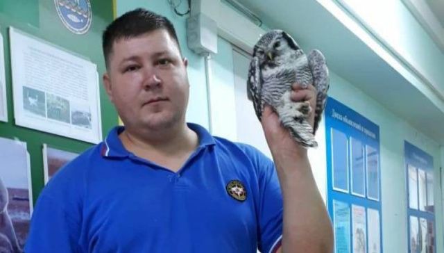 В Якутске нашли сову. Ее приютит зоопарк «Орто Дойду»