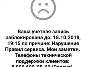 В Якутске мать ребенка-инвалида заблокировали в службе такси «за национализм»