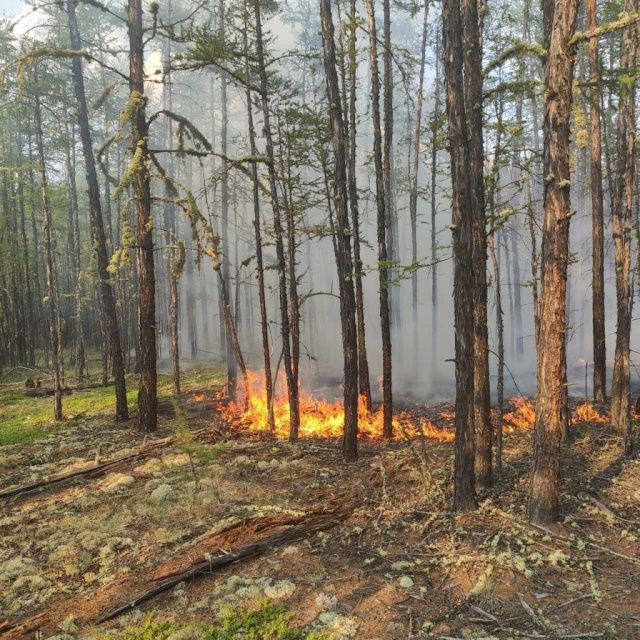 37 пожаров тушат на территории Якутии