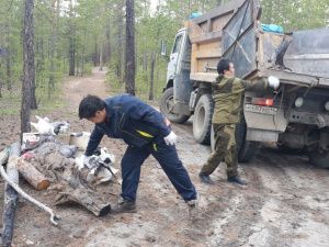 Не работа секты, а священный обряд. Дандар-лама прояснил ситуацию с флажками на Табагинском мысе